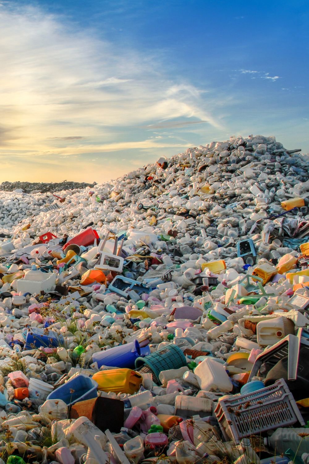 Plastic Waste