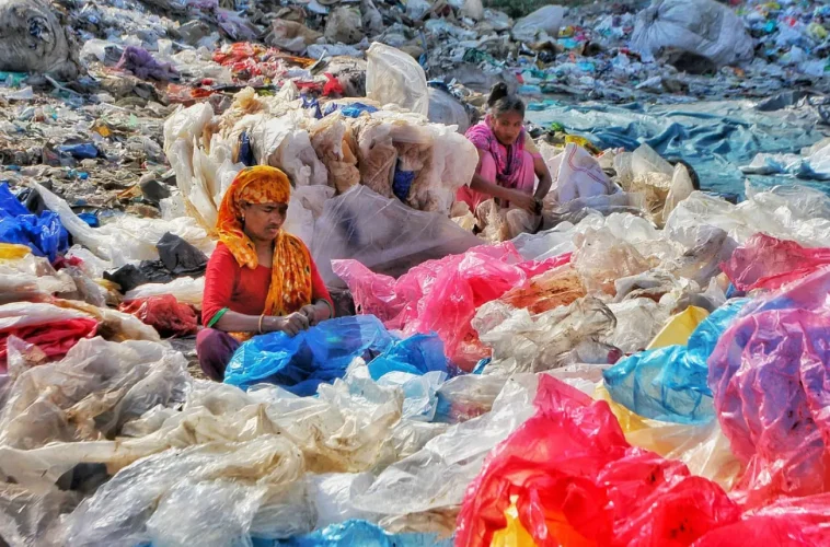 Recycling & Sustainability